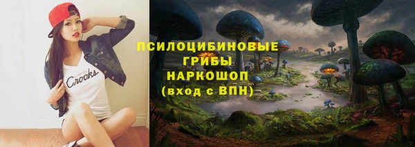 винт Рославль