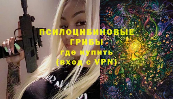 винт Рославль